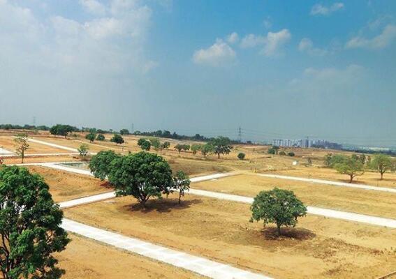 Residential land / Plot in Chirle, Navi Mumbai