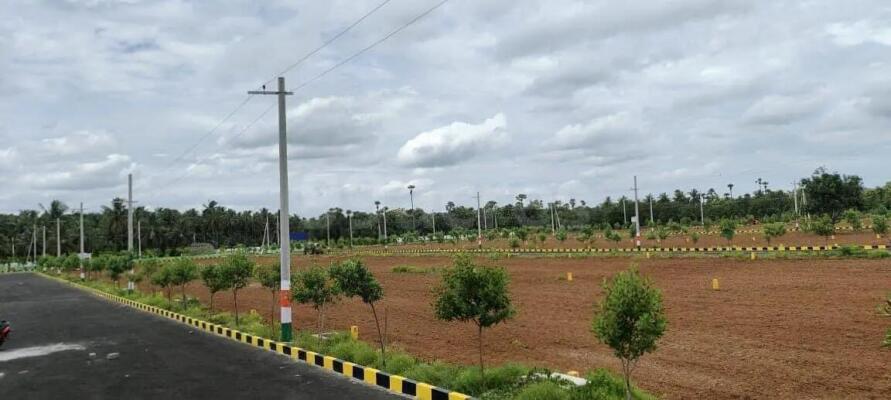 Residential land / Plot in Bhogapuram, Visakhapatnam