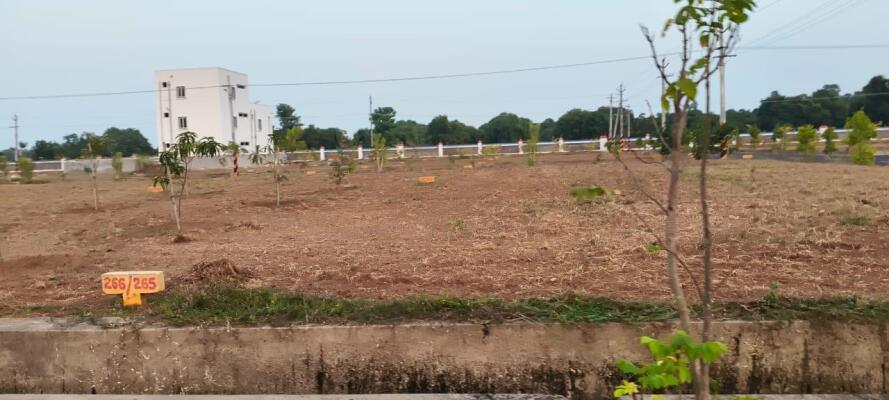 Residential land / Plot in Chelluru, Visakhapatnam
