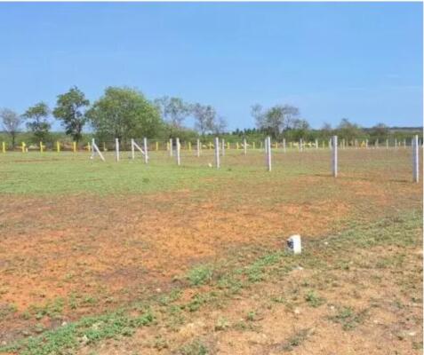 Residential land / Plot in Chirle, Navi Mumbai