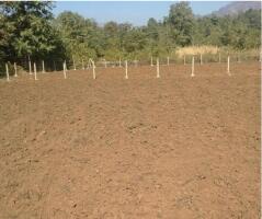 Residential land / Plot in Chirle, Navi Mumbai
