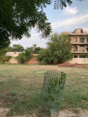 Residential land / Plot in Sushant Lok Phase 1, Gurgaon