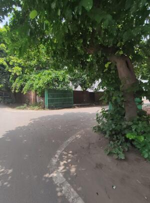 Residential land / Plot in Sushant Lok Phase 1, Gurgaon