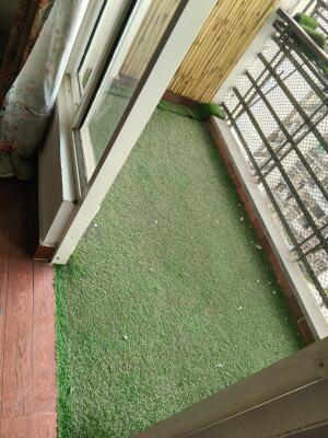 3 BHK Flat in Sector 46, Noida