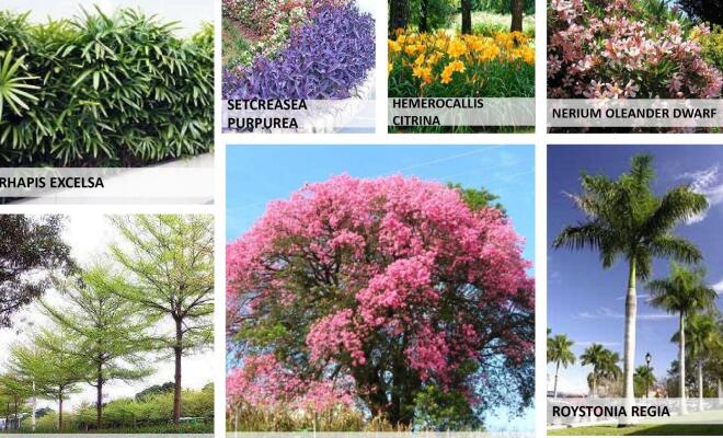 Residential land / Plot in Ral, Vrindavan
