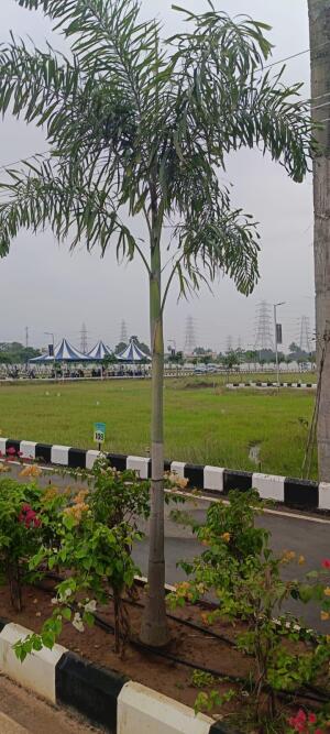 Residential land / Plot in Alamathi, Thiruvallur