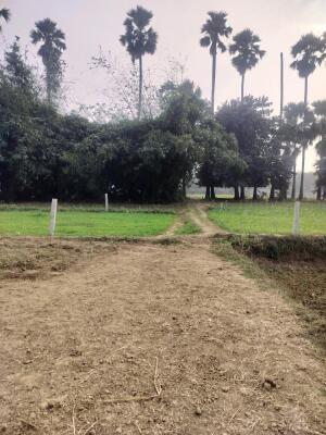 Residential land / Plot in Shivala Par, Patna