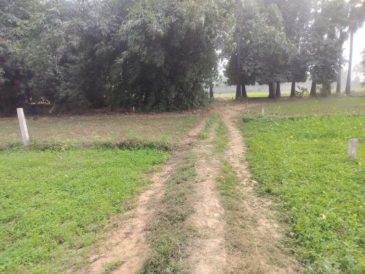 Residential land / Plot in Shivala Par, Patna