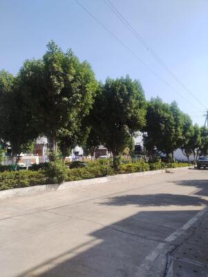 Residential land / Plot in Charoda, Bhilai