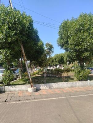 Residential land / Plot in Charoda, Bhilai