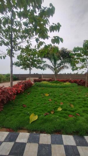 Residential land / Plot in Charoda, Bhilai