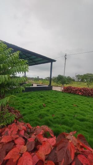 Residential land / Plot in Charoda, Bhilai