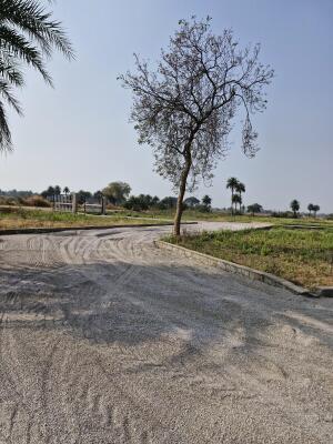 Residential land / Plot in Naya Raipur