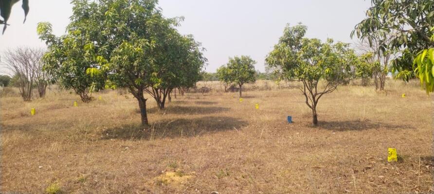 Residential land / Plot in Vengal, Thiruvallur