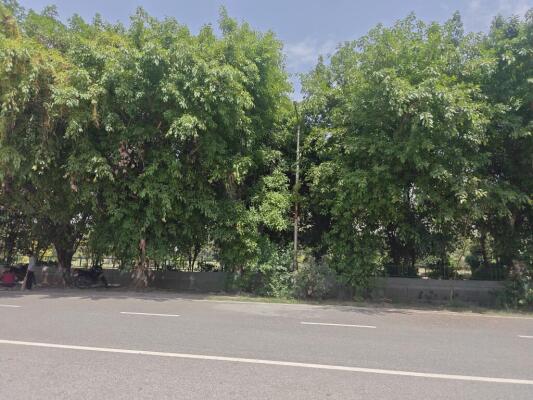 Residential land / Plot in Sector 40, Noida
