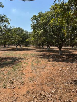 Residential land / Plot in Warangal highway, Hyderabad