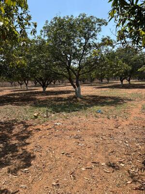 Residential land / Plot in Warangal highway, Hyderabad