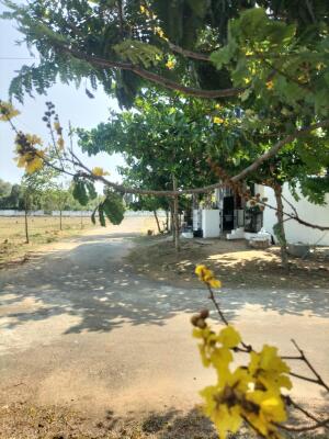 Residential land / Plot in Guduvancheri, Chennai
