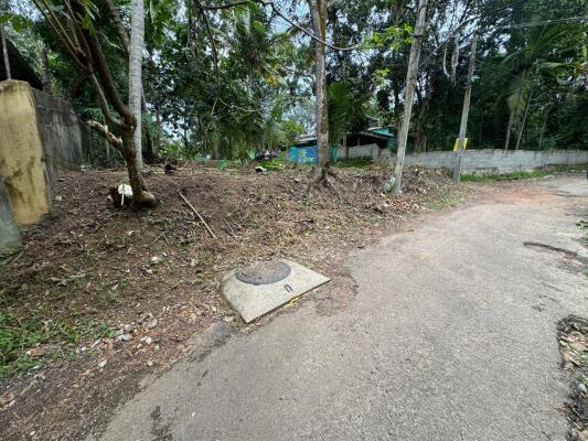 Residential land / Plot in Karyavattom, Trivandrum