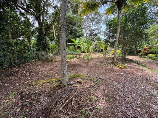Residential land / Plot in Karyavattom, Trivandrum