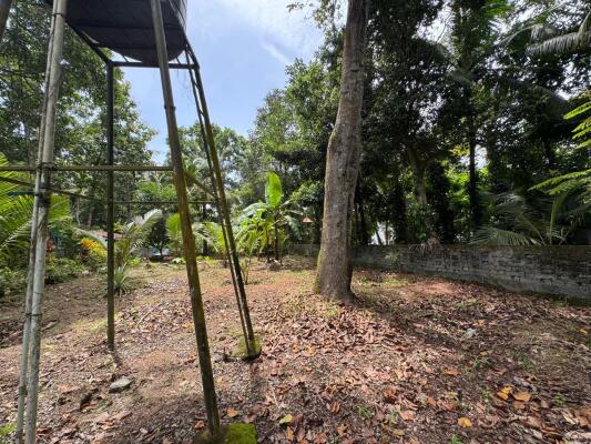 Residential land / Plot in Karyavattom, Trivandrum