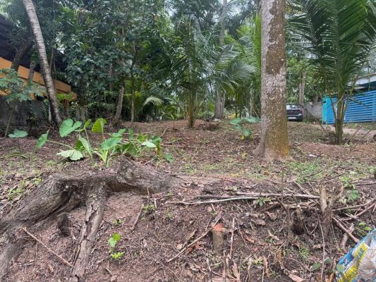 Residential land / Plot in Karyavattom, Trivandrum