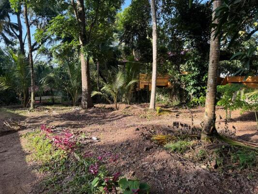 Residential land / Plot in Karyavattom, Trivandrum