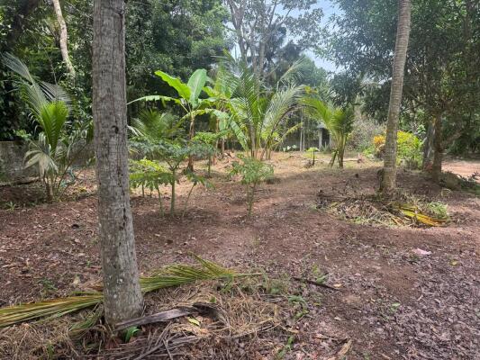 Residential land / Plot in Karyavattom, Trivandrum