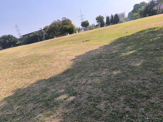 Residential land / Plot in Sector 105 Mohali