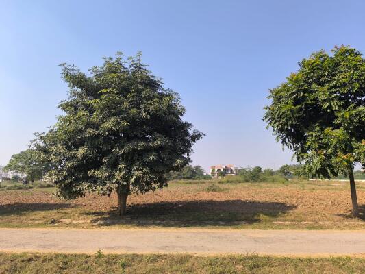 Residential land / Plot in Sector 97 Mohali