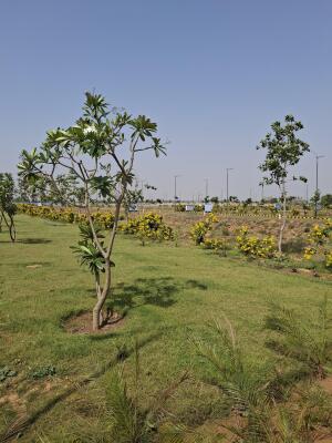Residential land / Plot in Sector 78, Gurgaon
