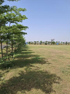 Residential land / Plot in Sector 78, Gurgaon