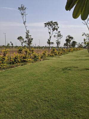 Residential land / Plot in Sector 78, Gurgaon