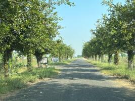 Residential land / Plot in Sector-16 Yamuna Expressway, Greater Noida