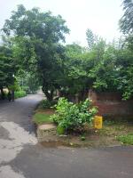 Residential land / Plot in Sector 3, Greater Noida West
