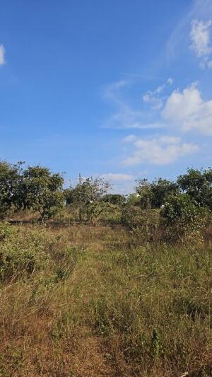 Residential land / Plot in Banashankari 6th Stage 7th Block, Banashankari Stage 6