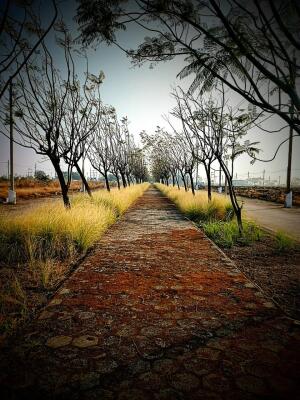 Residential land / Plot in Ujjain Road, Indore