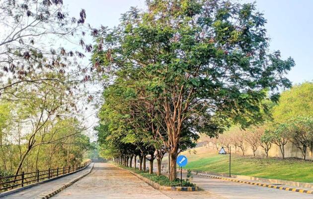 Residential land / Plot in Ujjain Road, Indore
