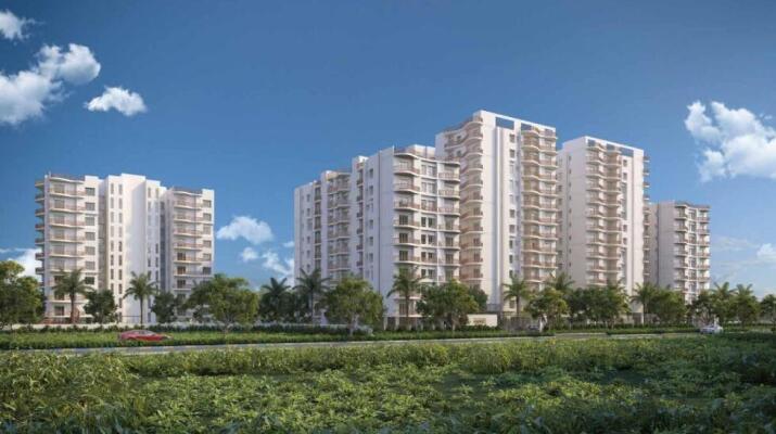 2 BHK Flat in Lokhra, Guwahati