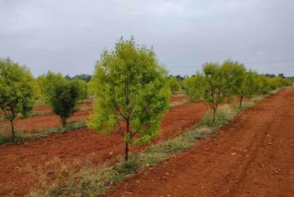 Residential land / Plot in IRC Village, Bhubaneswar
