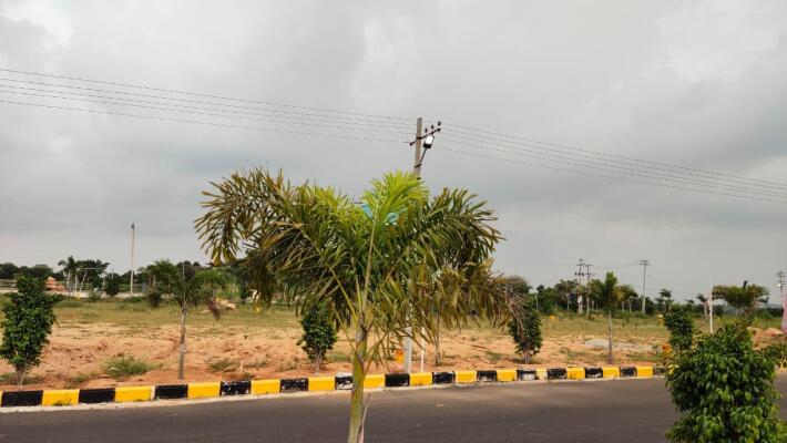 Residential land / Plot in Shadnagar, Hyderabad