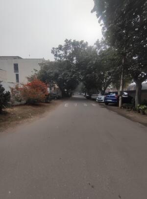 Residential land / Plot in Sushant Lok Phase 2, Gurgaon