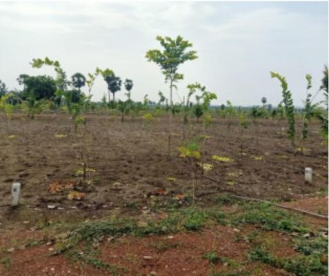 Residential land / Plot in Ranjanpada, Navi Mumbai