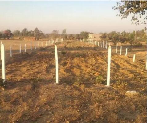 Residential land / Plot in Ranjanpada, Navi Mumbai