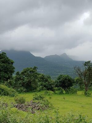 Residential land / Plot in Velhe, Pune