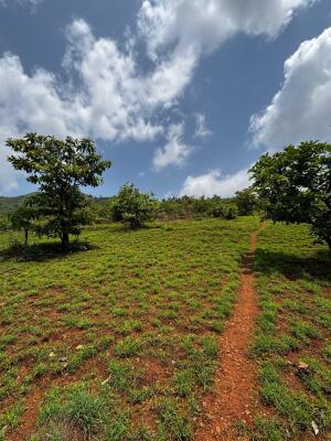 Residential land / Plot in Velhe, Pune