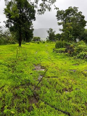 Residential land / Plot in Velhe, Pune