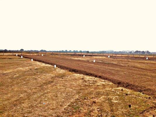 Residential land / Plot in Naya Raipur