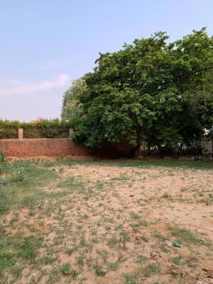 Residential land / Plot in Sushant Lok Phase 1, Gurgaon