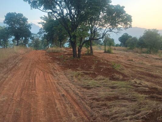 Residential land / Plot in Velhe, Pune